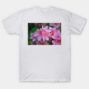 Spring is Here T-Shirt